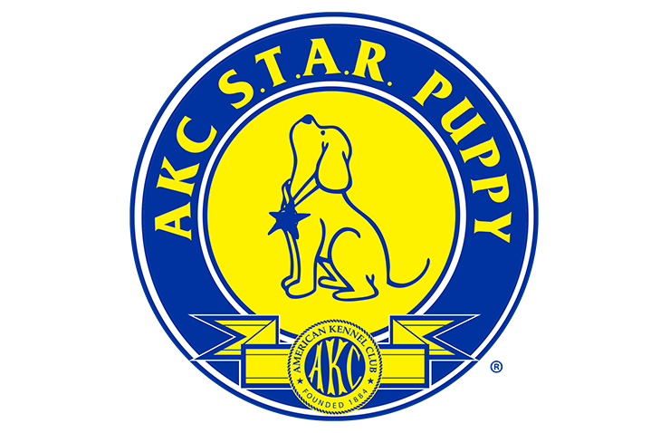 AKC S.T.A.R. Puppy badge